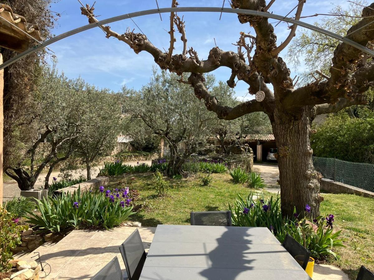 Chambre Avec Petit-Dejeuner En Provence Luberon La Tour-dʼAigues 외부 사진
